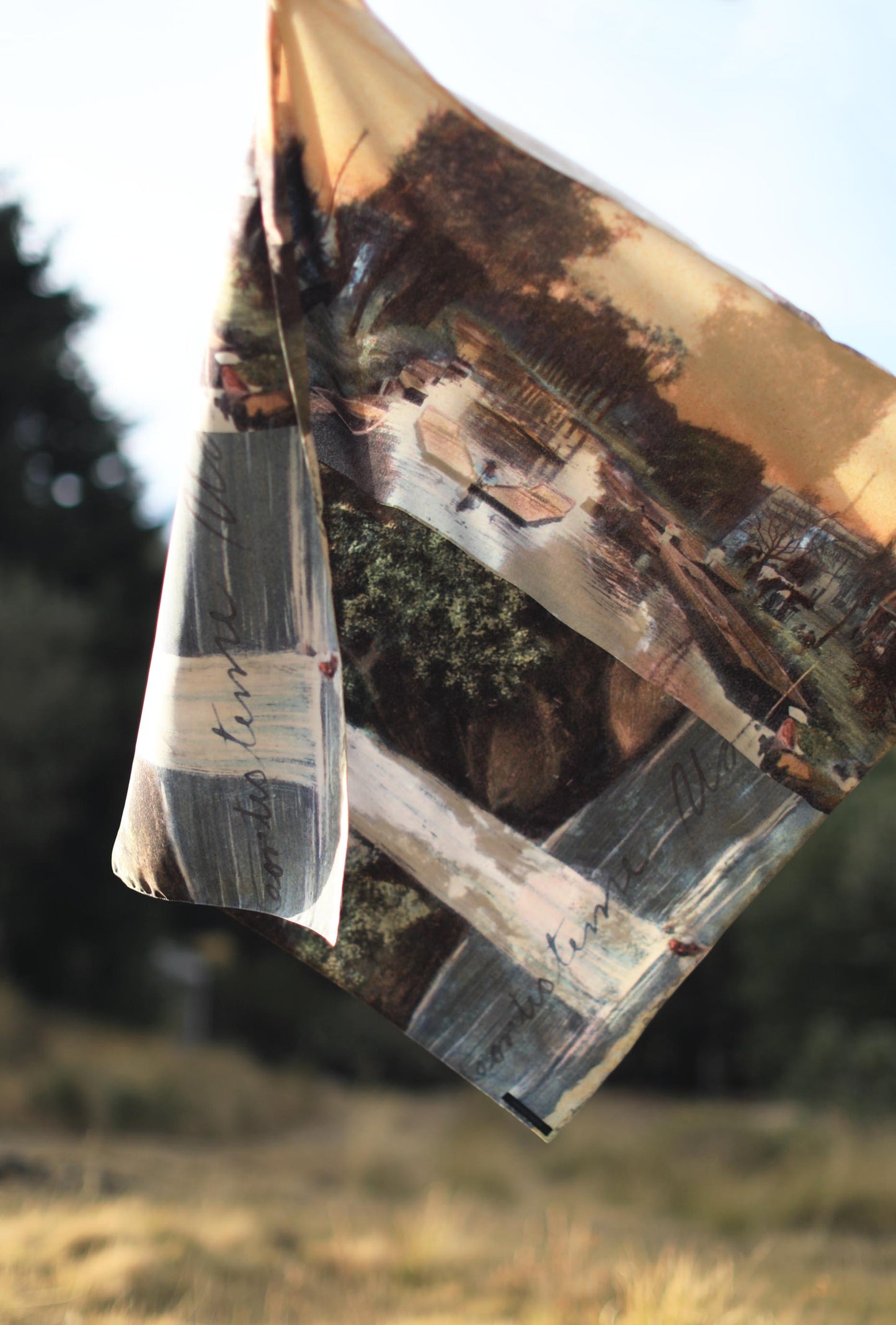 Mexican landscape print Scarf